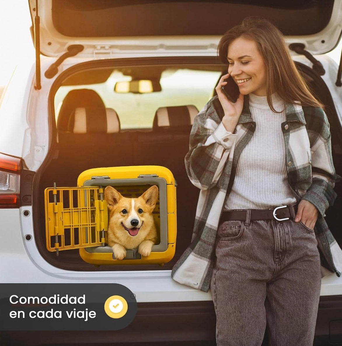 Transportador plegable pequeño para perros y gatos