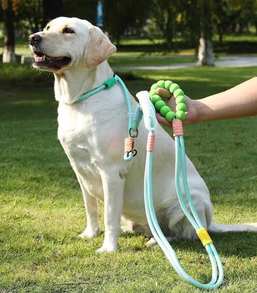 Correa Multifunciones para perros PQLFF093
