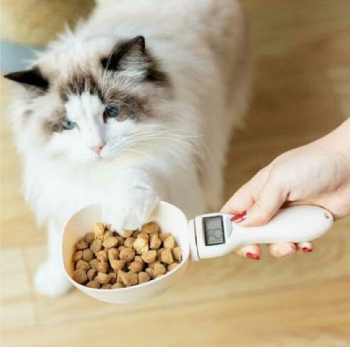 Cuchara digital medidora de comida para perros y gatos