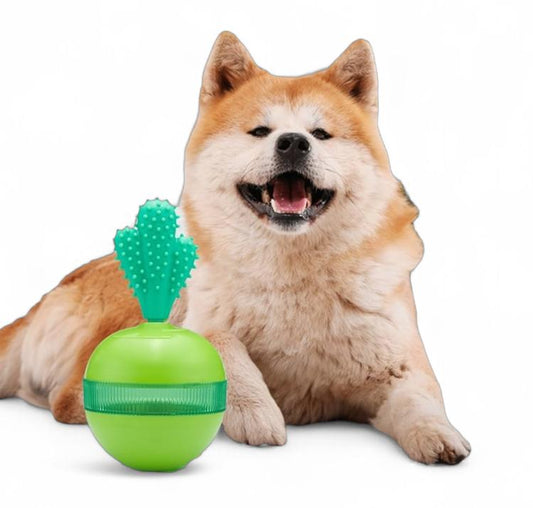 Juguete de alimentación lenta 005