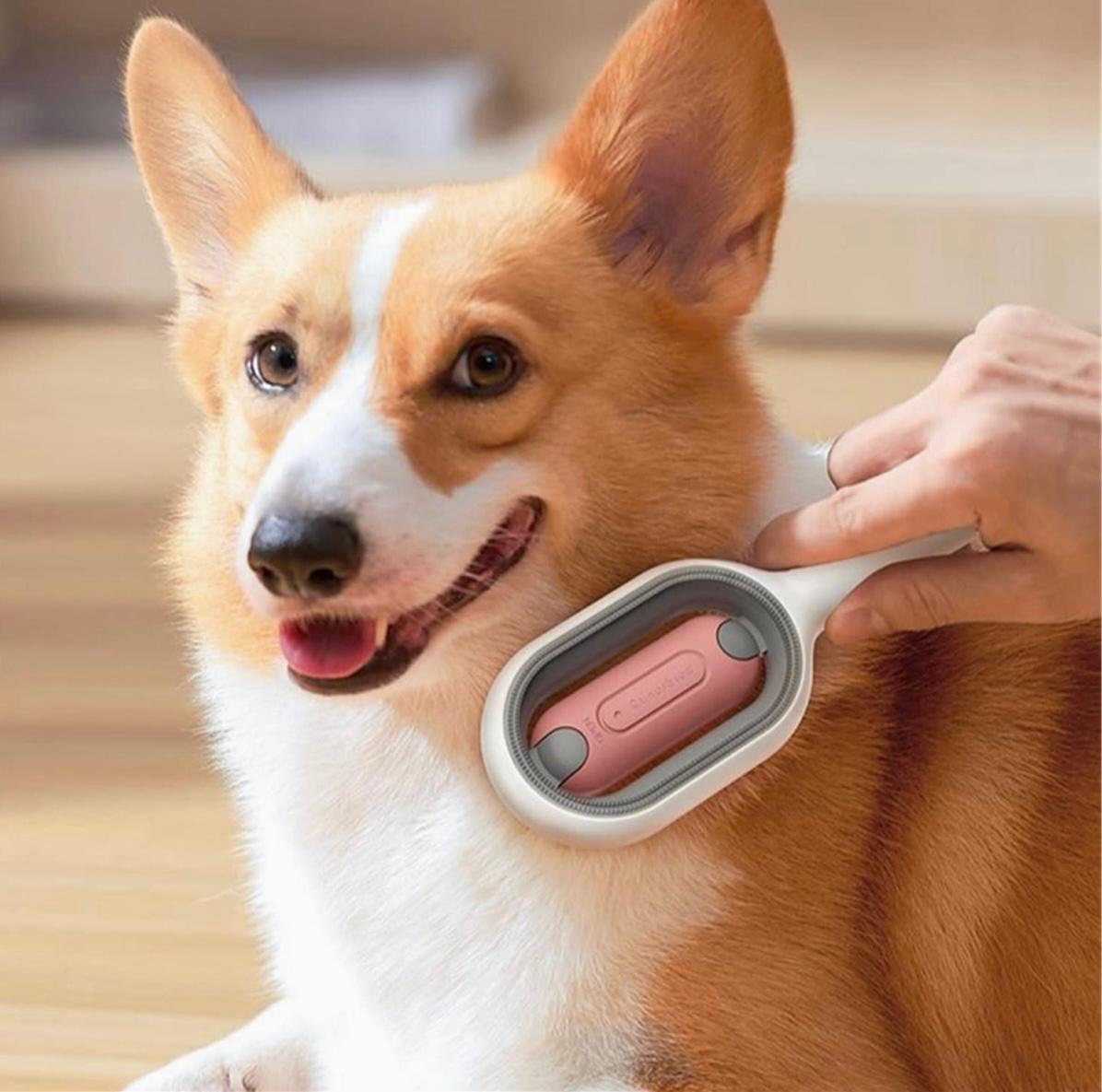 Cepillos removedor para perros y gatos YB-1