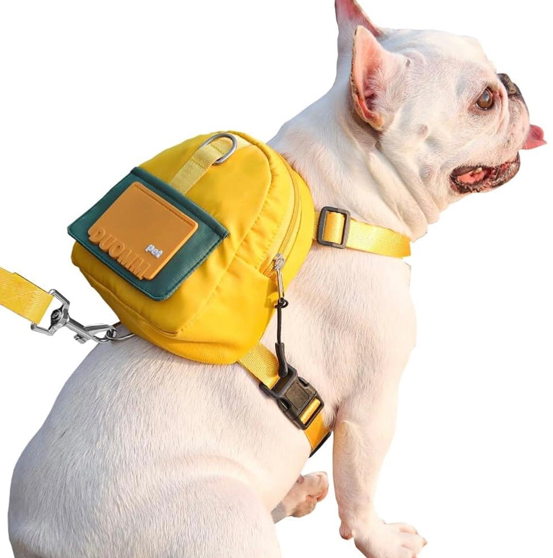 Arnés Maleta + correa para perros PQLSD005