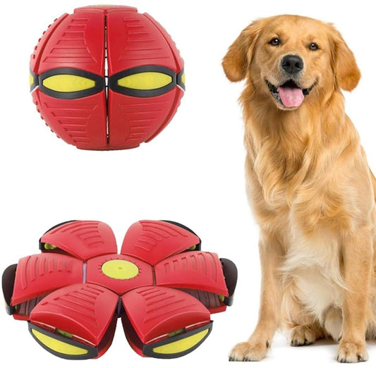 Pelota Frisby para perros PQLBR002-1