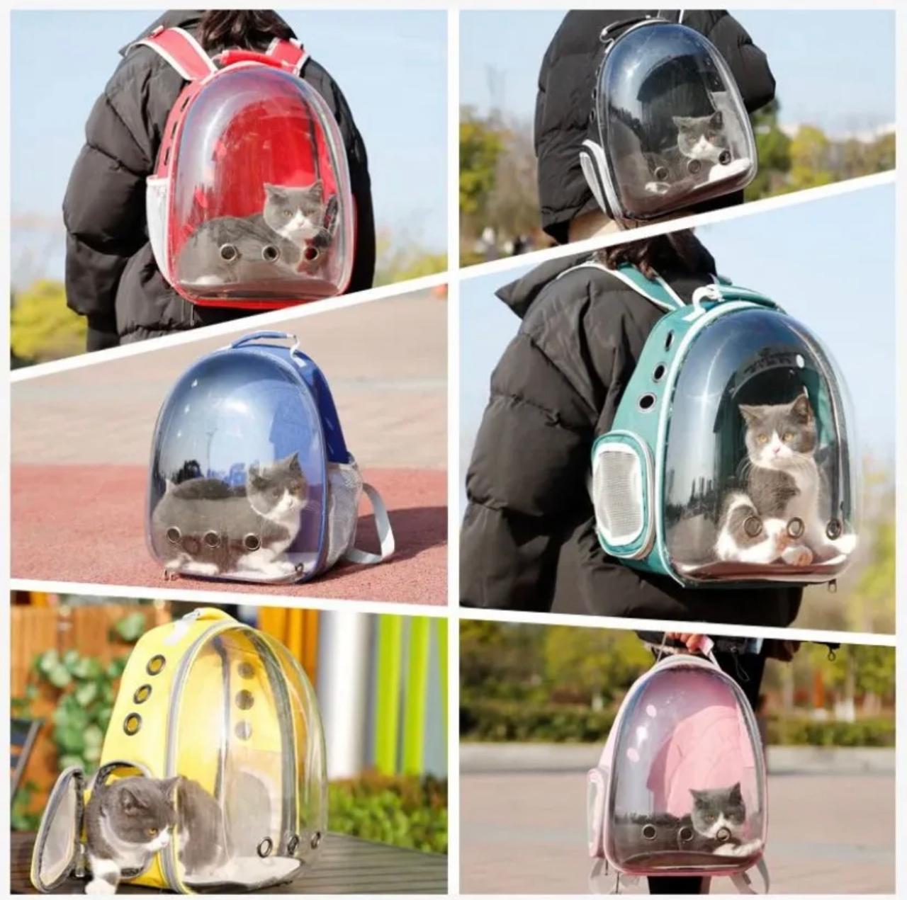 Maleta cápsula para gatos y perros pequeños