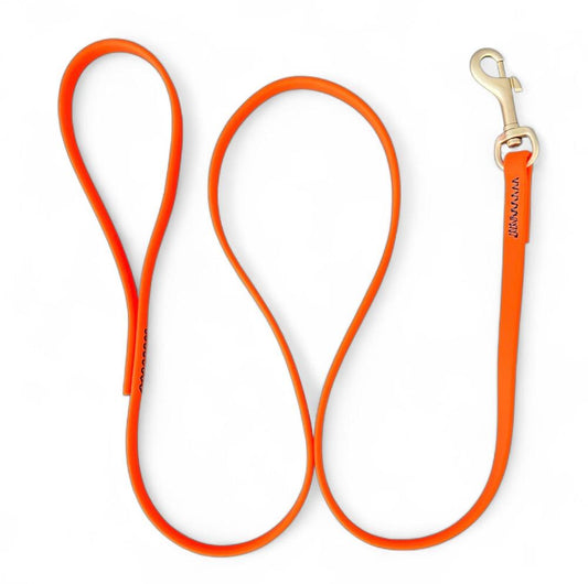 Correa a prueba de agua en silicona para perros