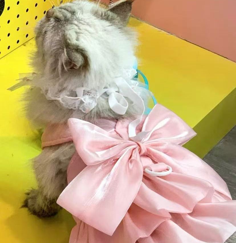 Vestido para gatos y perros pequeños