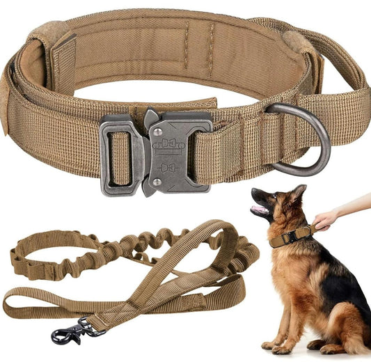 KIT: Collar táctico y correa elástica para perros