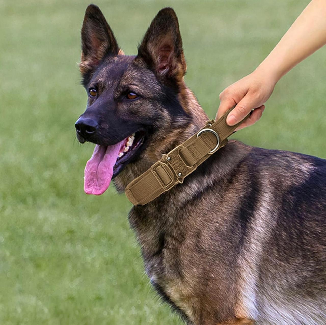 KIT: Collar táctico y correa elástica para perros