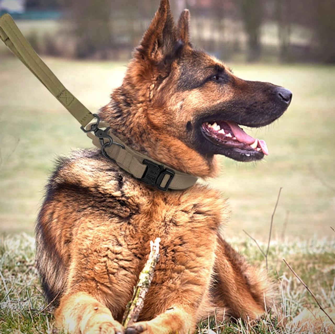 KIT: Collar táctico y correa elástica para perros