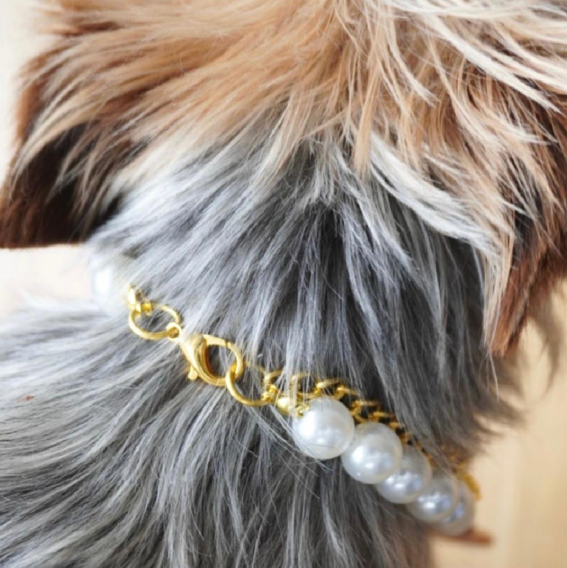 Collar de perlas con moño para gatos y perros chiquitos