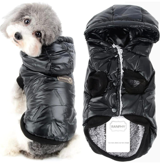 Abrigo parra perros