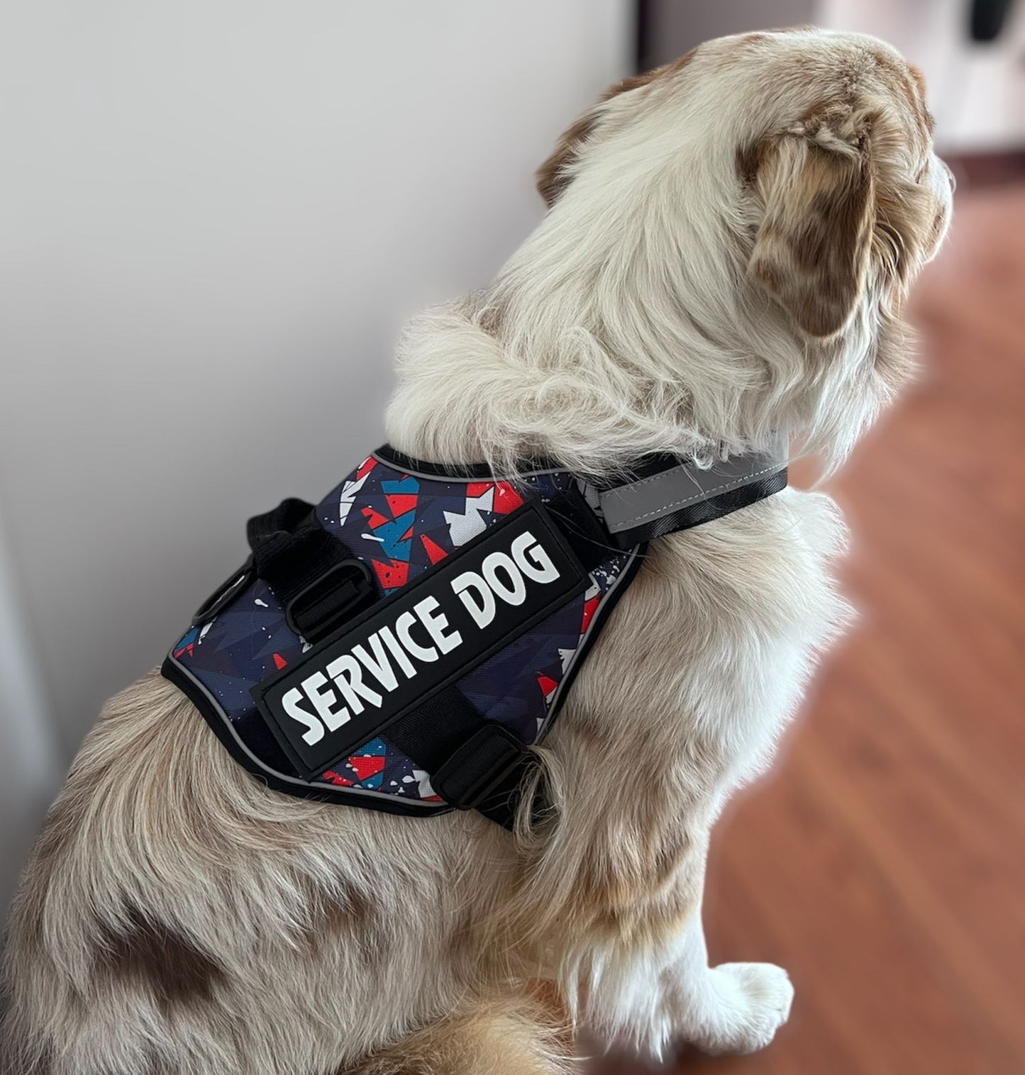 Arnés Service Dog PQ 03