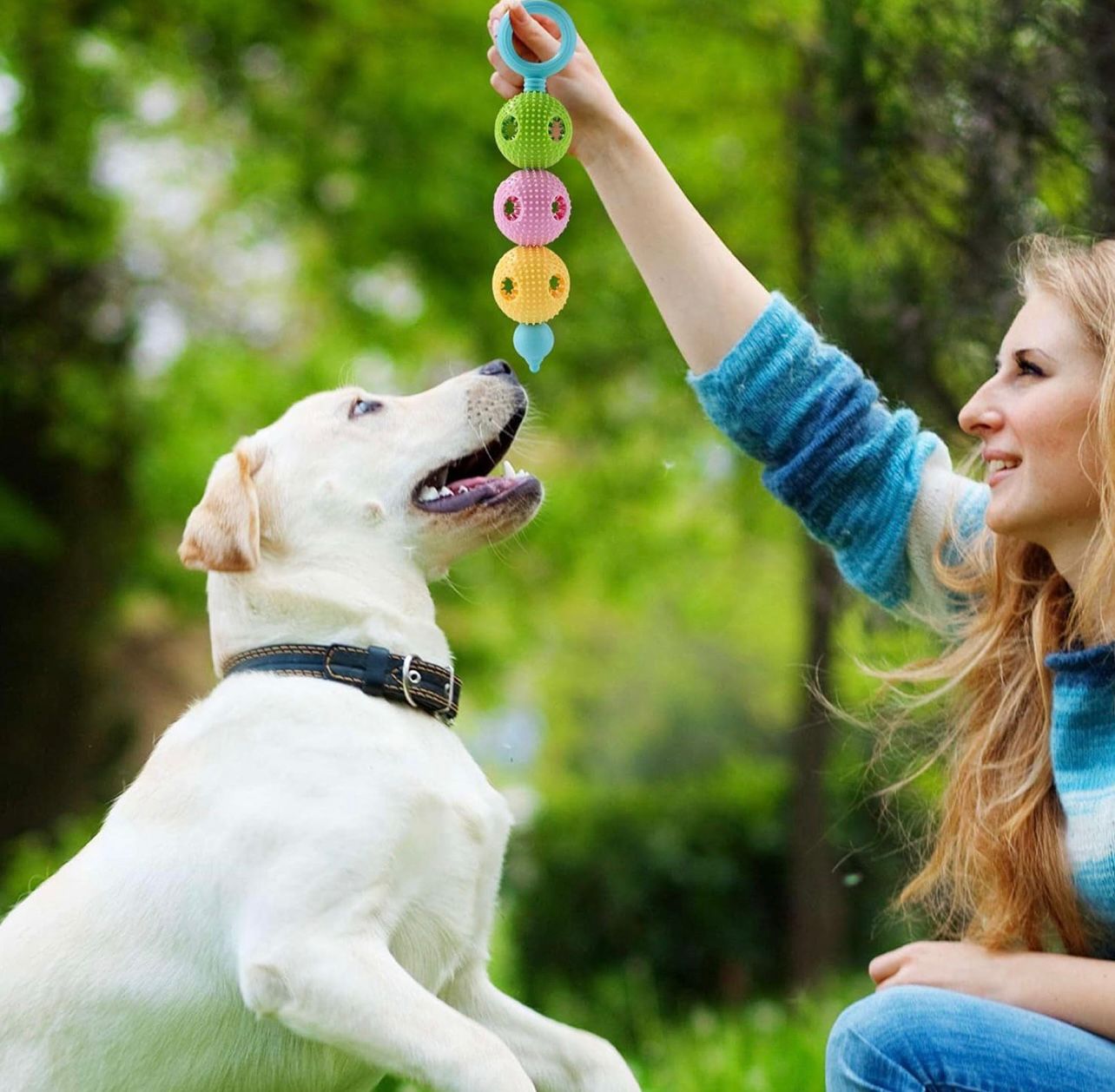 Juguete de limpieza de dientes para perros