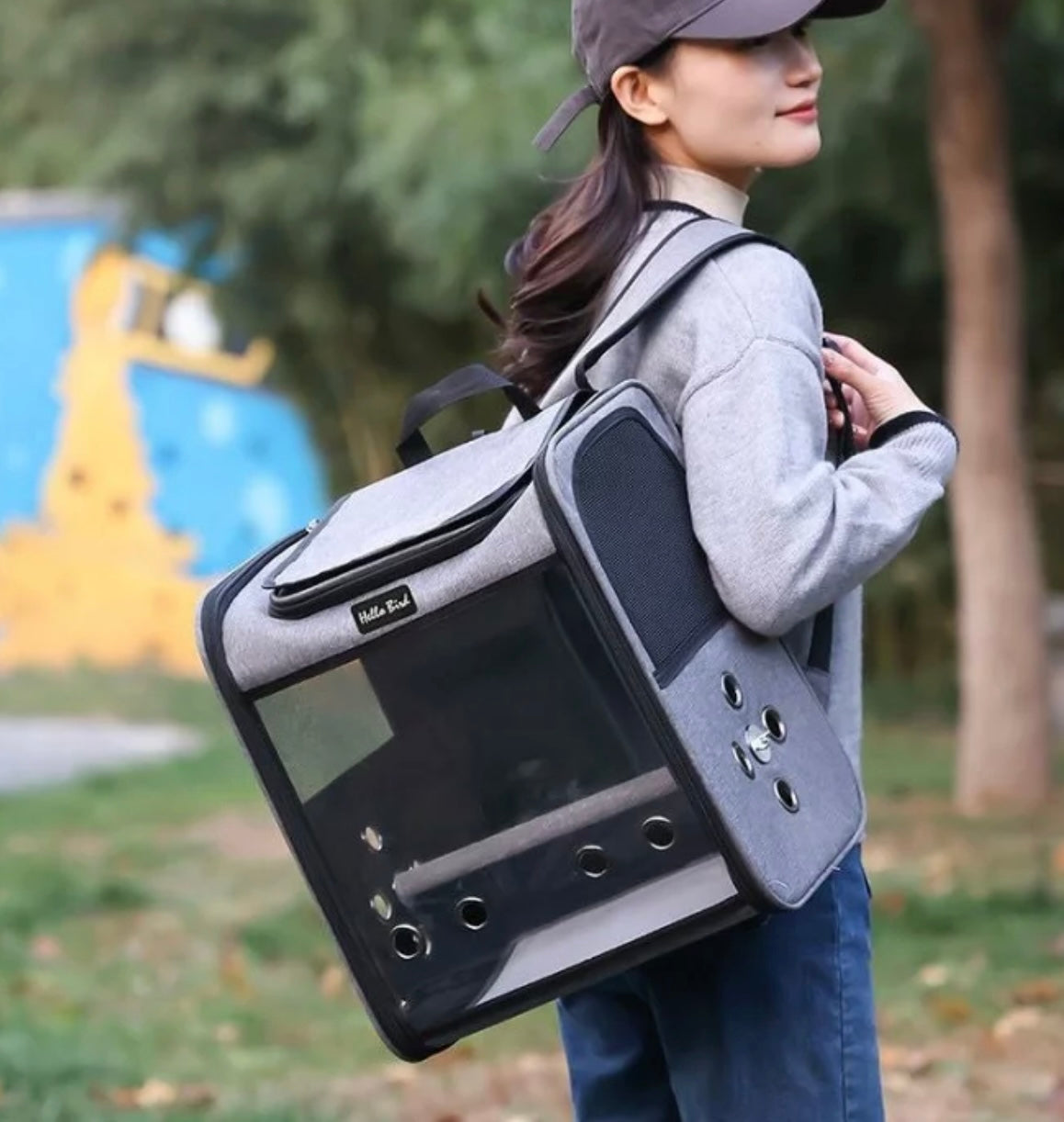 Maleta transportadora para gatos, perros pequeños y aves
