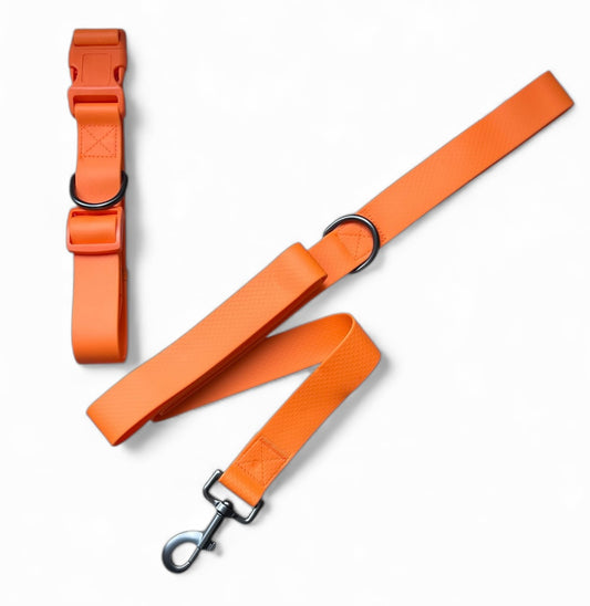 Set Correa y collar en silicona antifluido para perros