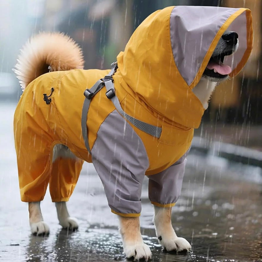 Chaqueta impermeable para perros pequeños y medianos