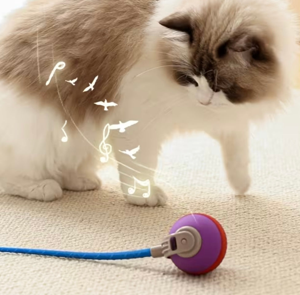 Pelota con cola inteligente para gatos