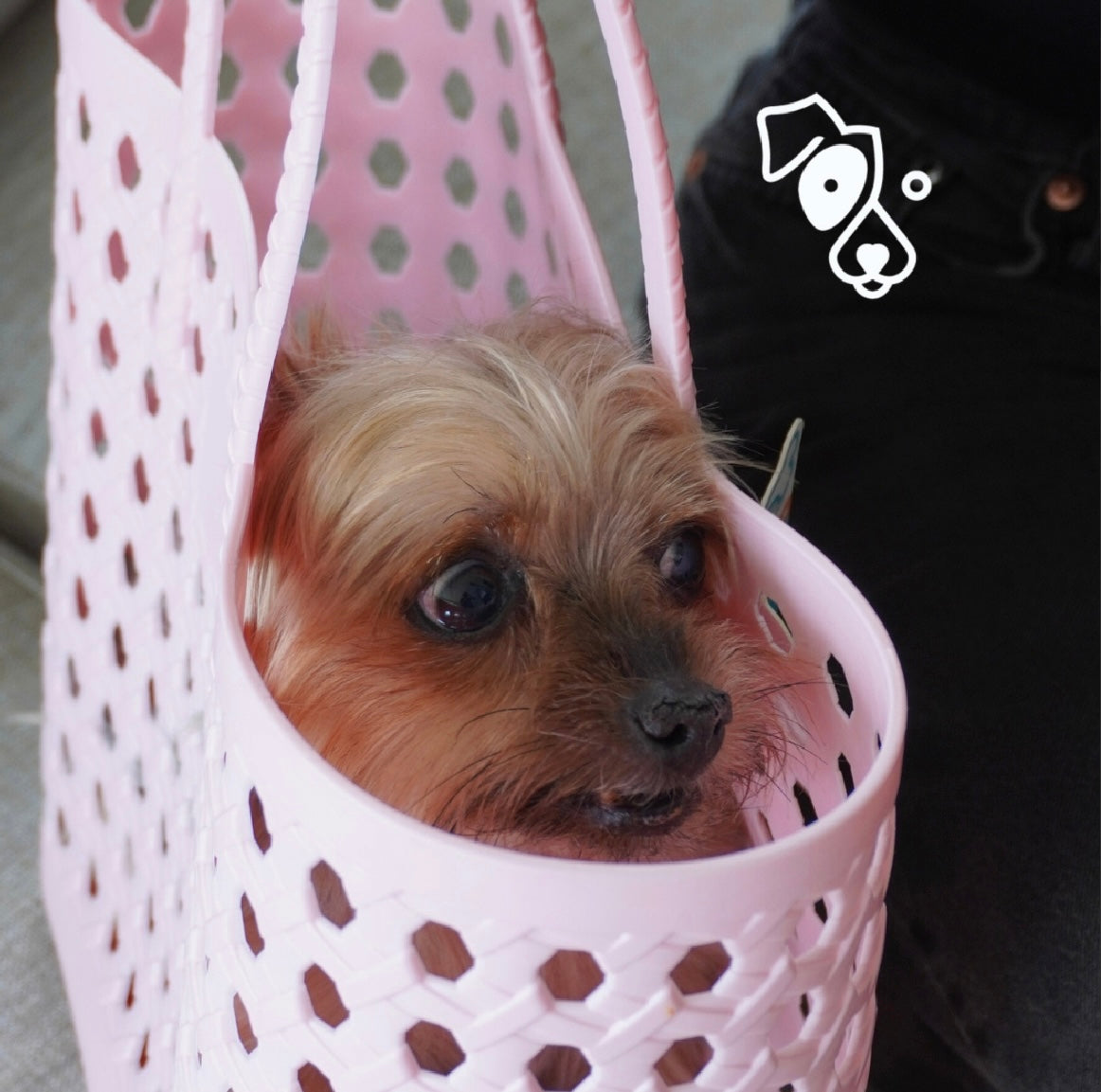 Bolso con diseño de canasta para gatos y perros pequeños
