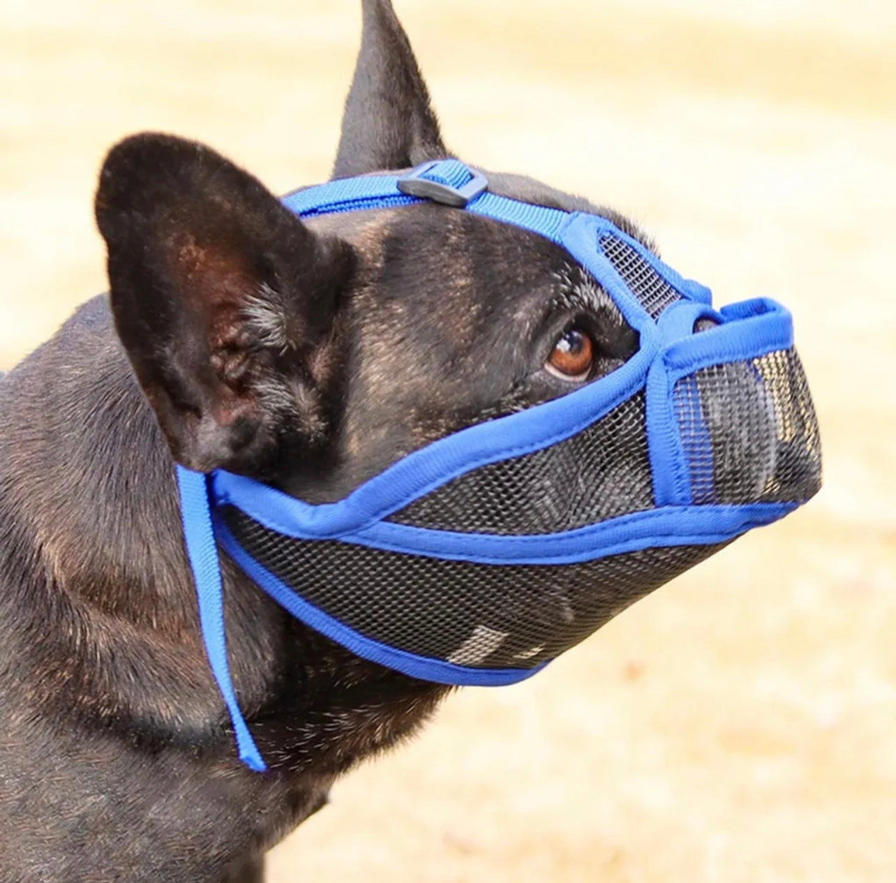 Bozal en maya transpirable para perros