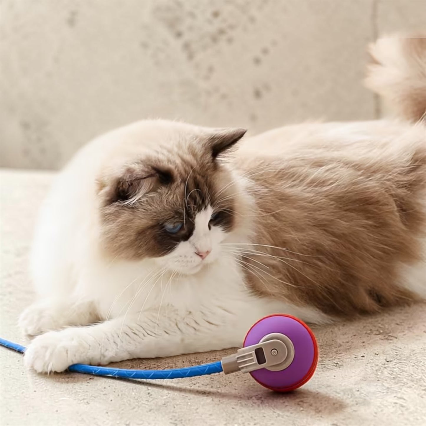 Pelota con cola inteligente para gatos