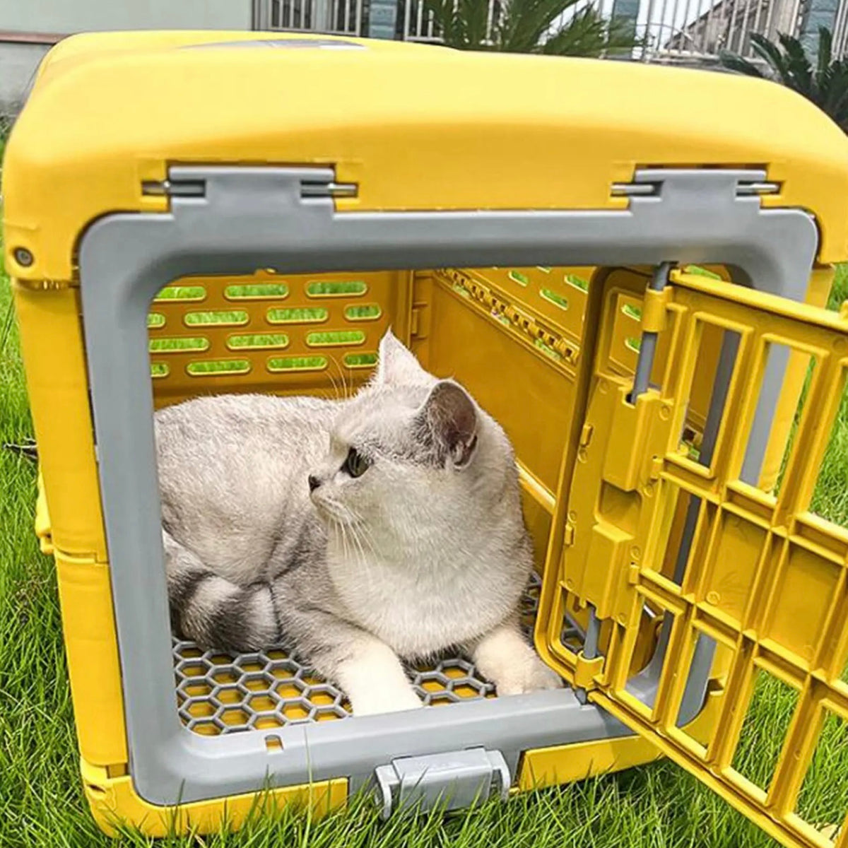 Transportador plegable  pequeño para perros y gatos