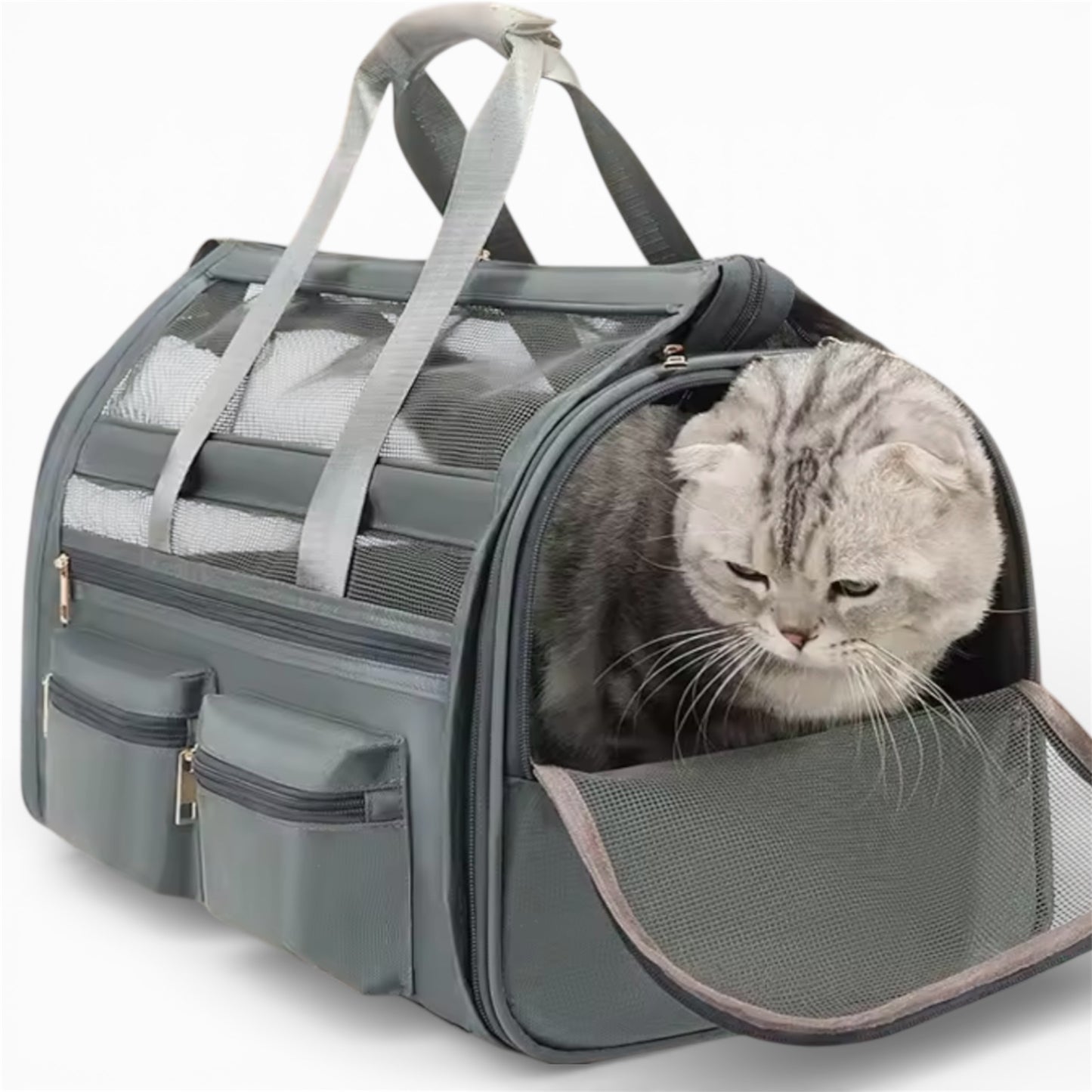 Maleta plegable para gatos y perros pequeños