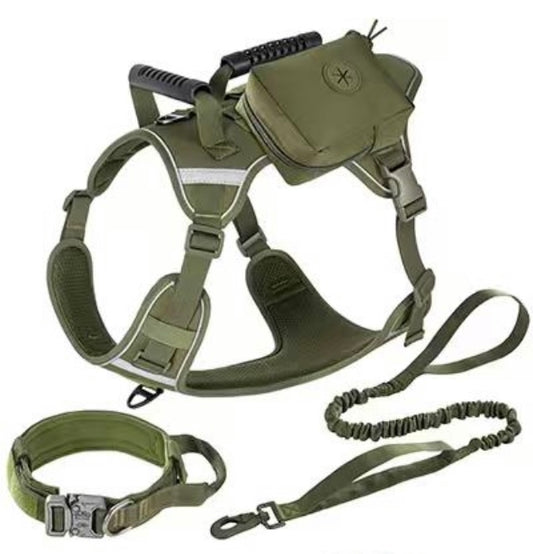 Set táctico: arnés, correa, collar y cartuchera para perros