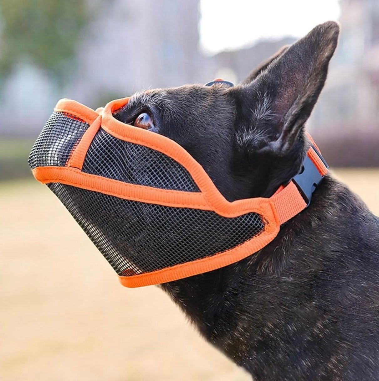 Bozal en maya transpirable para perros