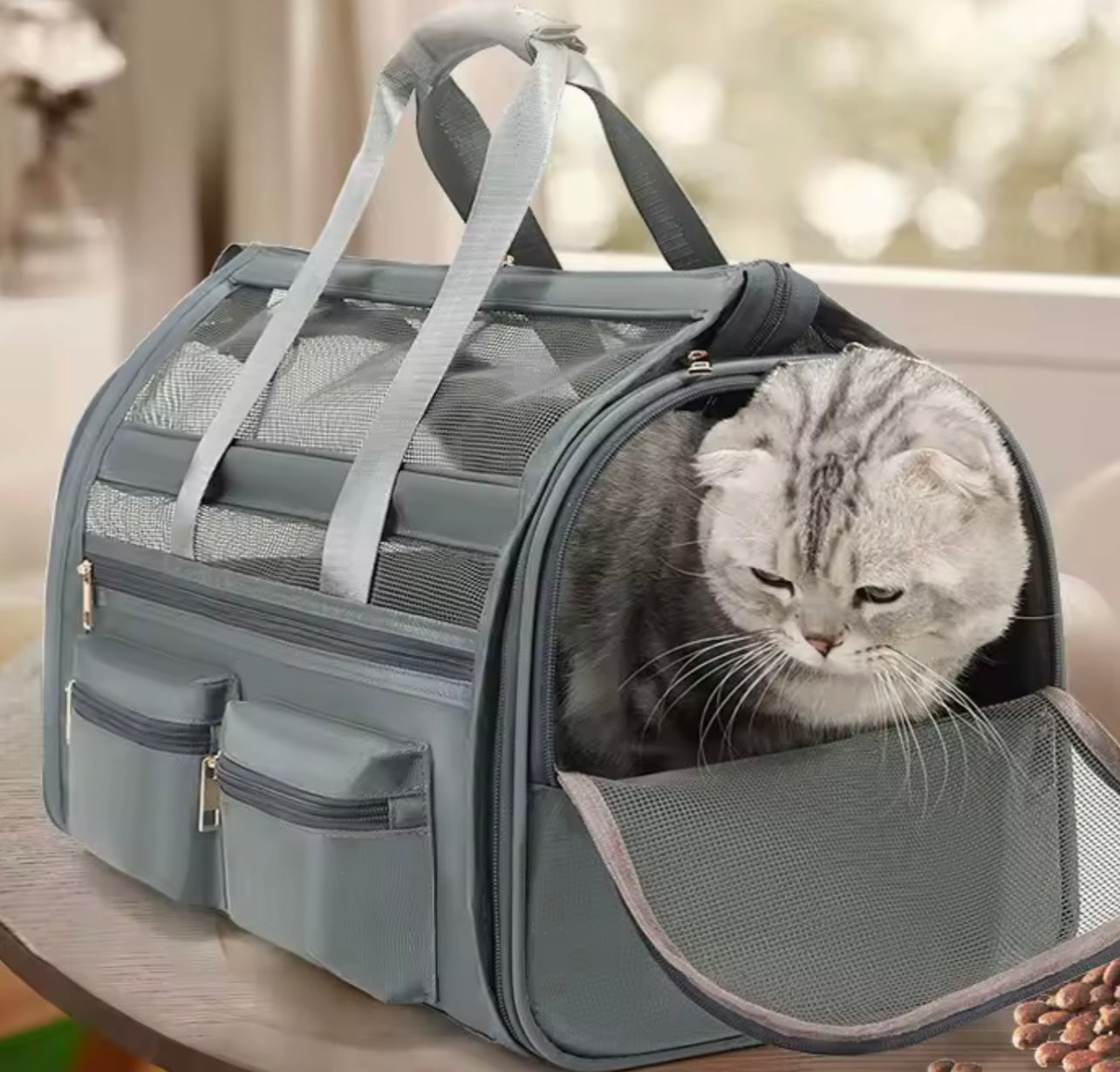 Maleta plegable para gatos y perros pequeños