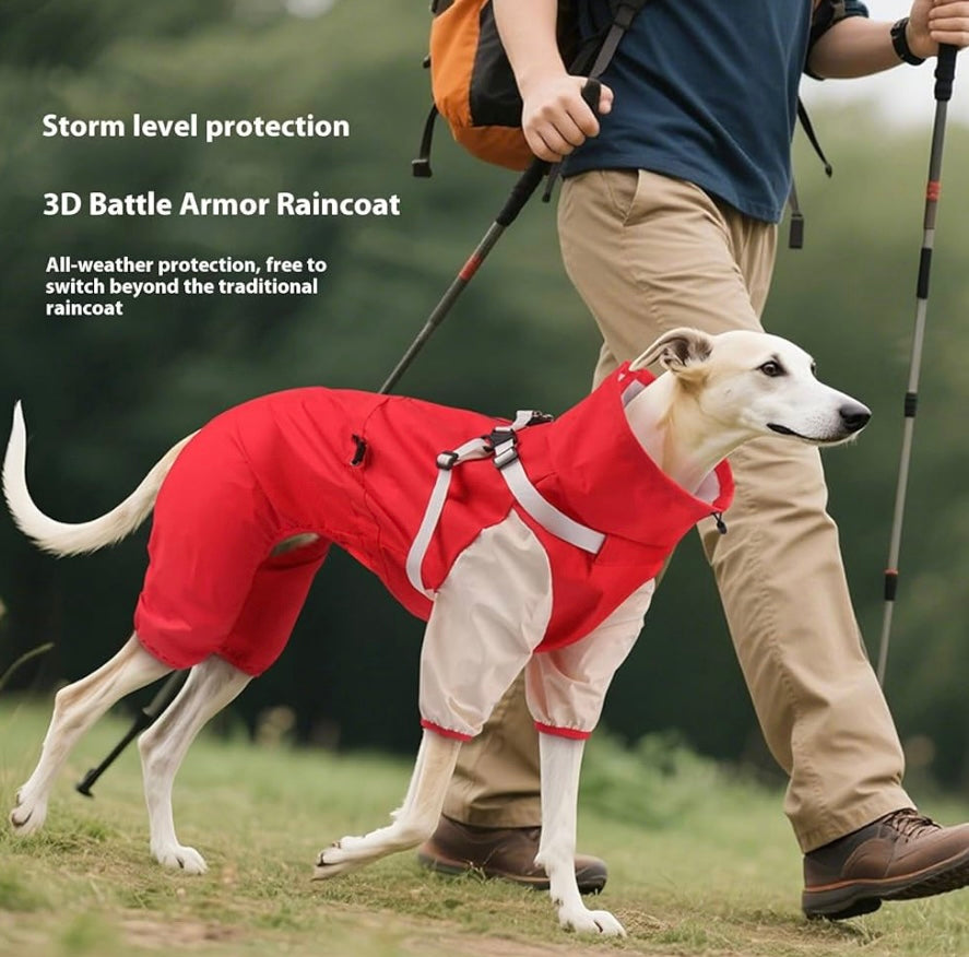 Chaqueta impermeable para perros pequeños y medianos