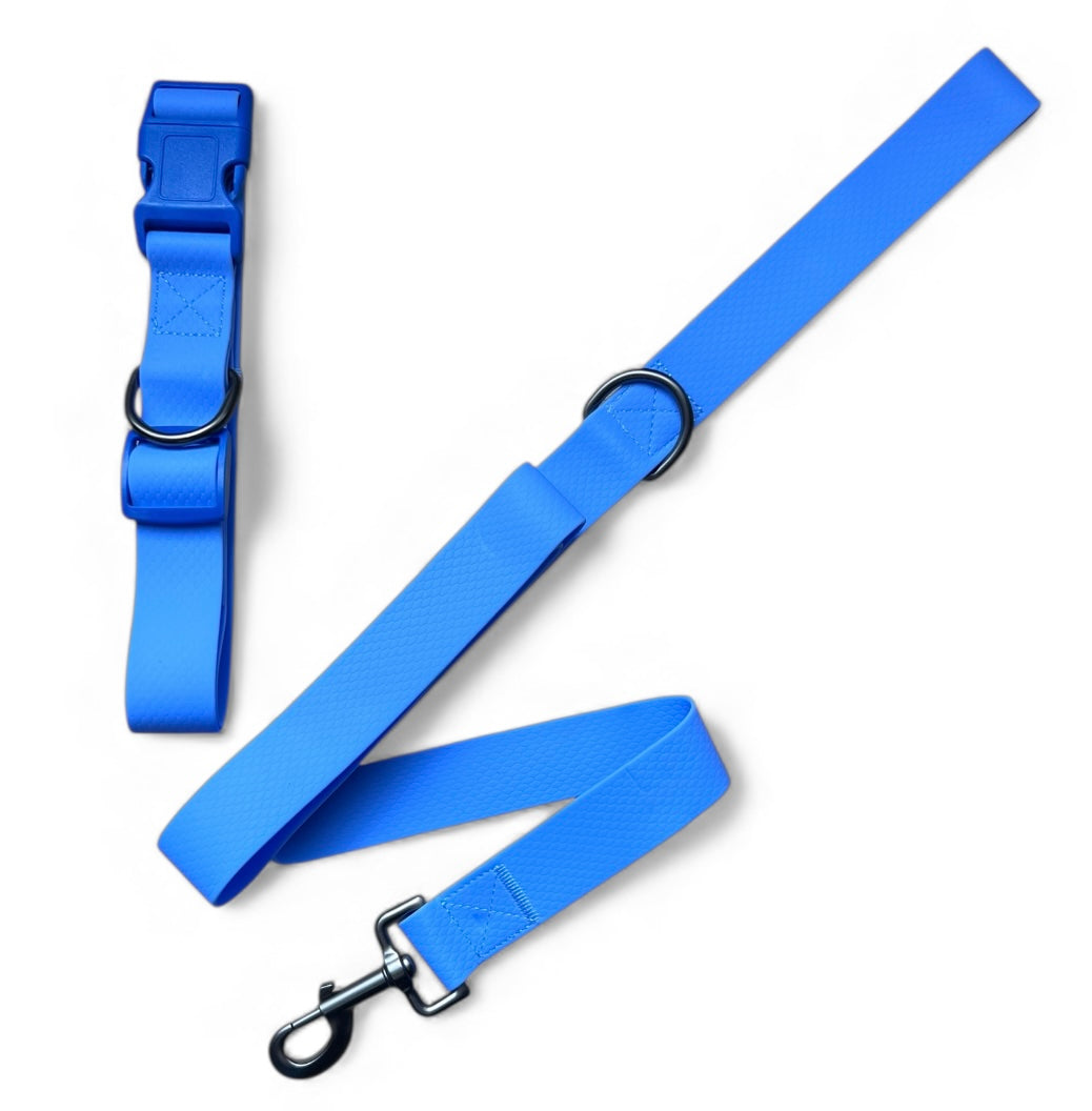 Set Correa y collar en silicona antifluido para perros