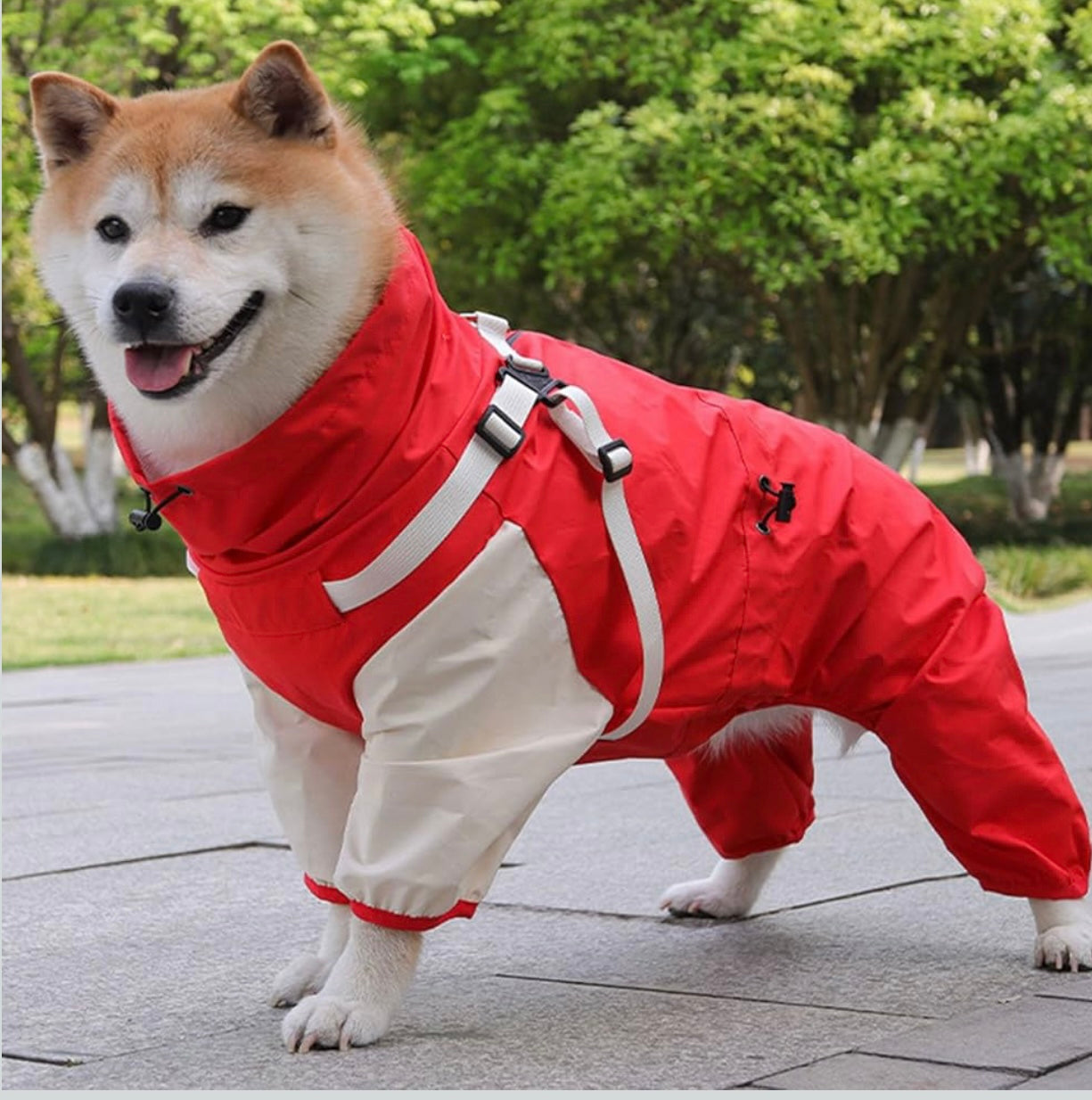 Chaqueta impermeable para perros pequeños y medianos
