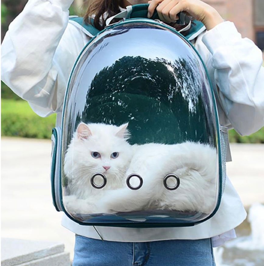 Maleta cápsula para gatos y perros pequeños