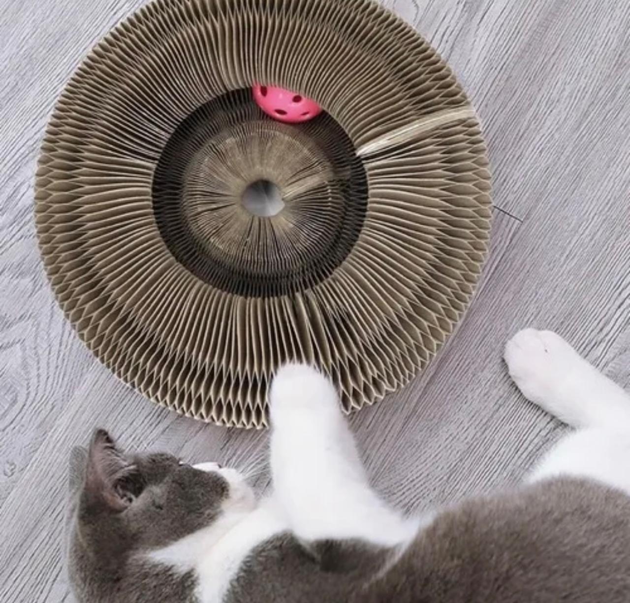Rascador en forma de acordeón para gatos