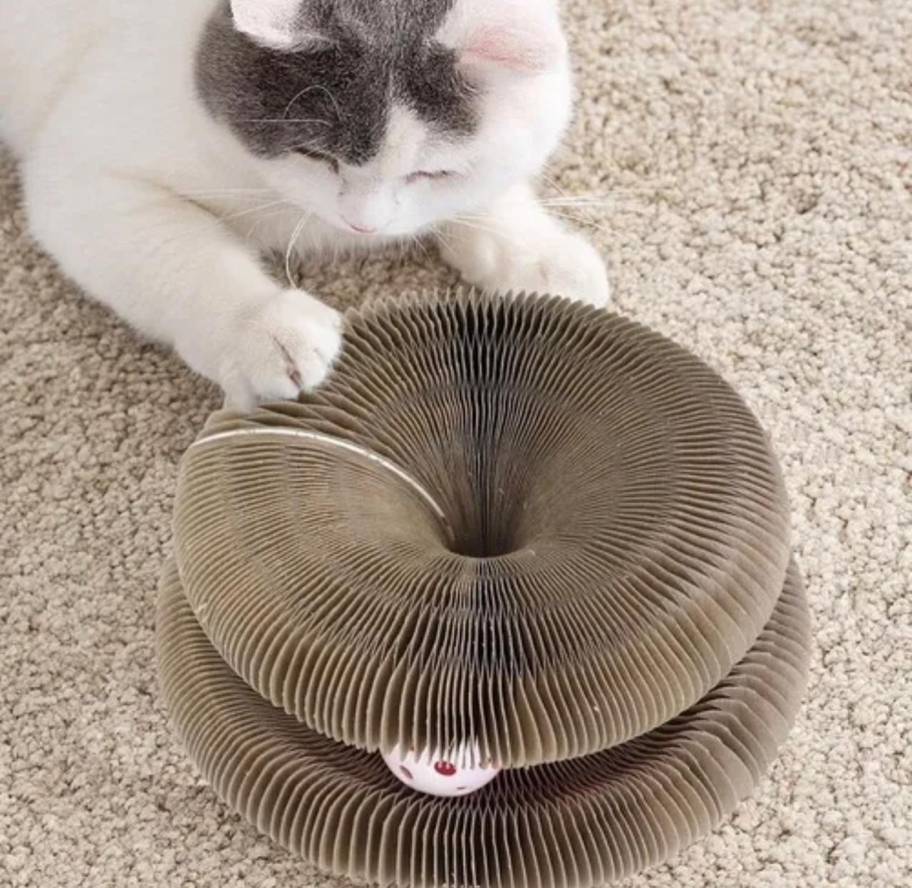 Rascador en forma de acordeón para gatos