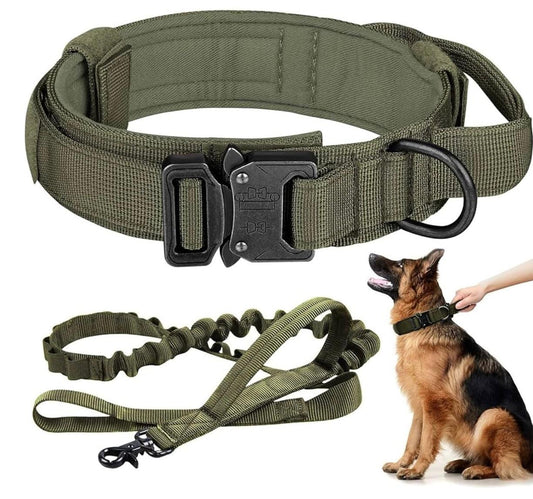KIT: Collar táctico y correa elástica para perros