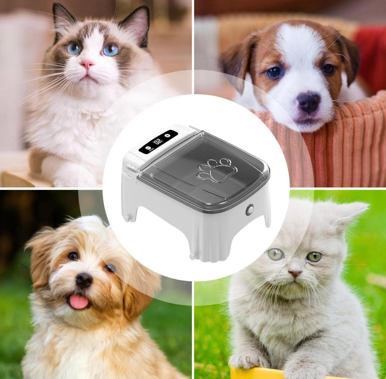 Comedero automático con sensor de movimiento para perros y gatos