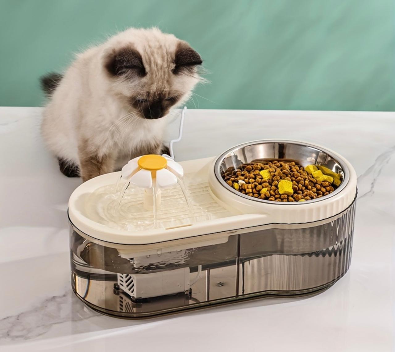 Fuente de agua y comedero para gatos y perros pequeños