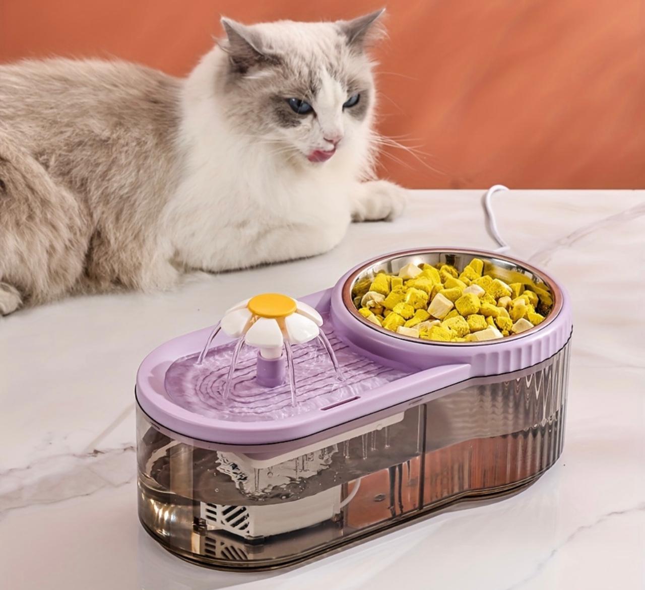 Fuente de agua y comedero para gatos y perros pequeños