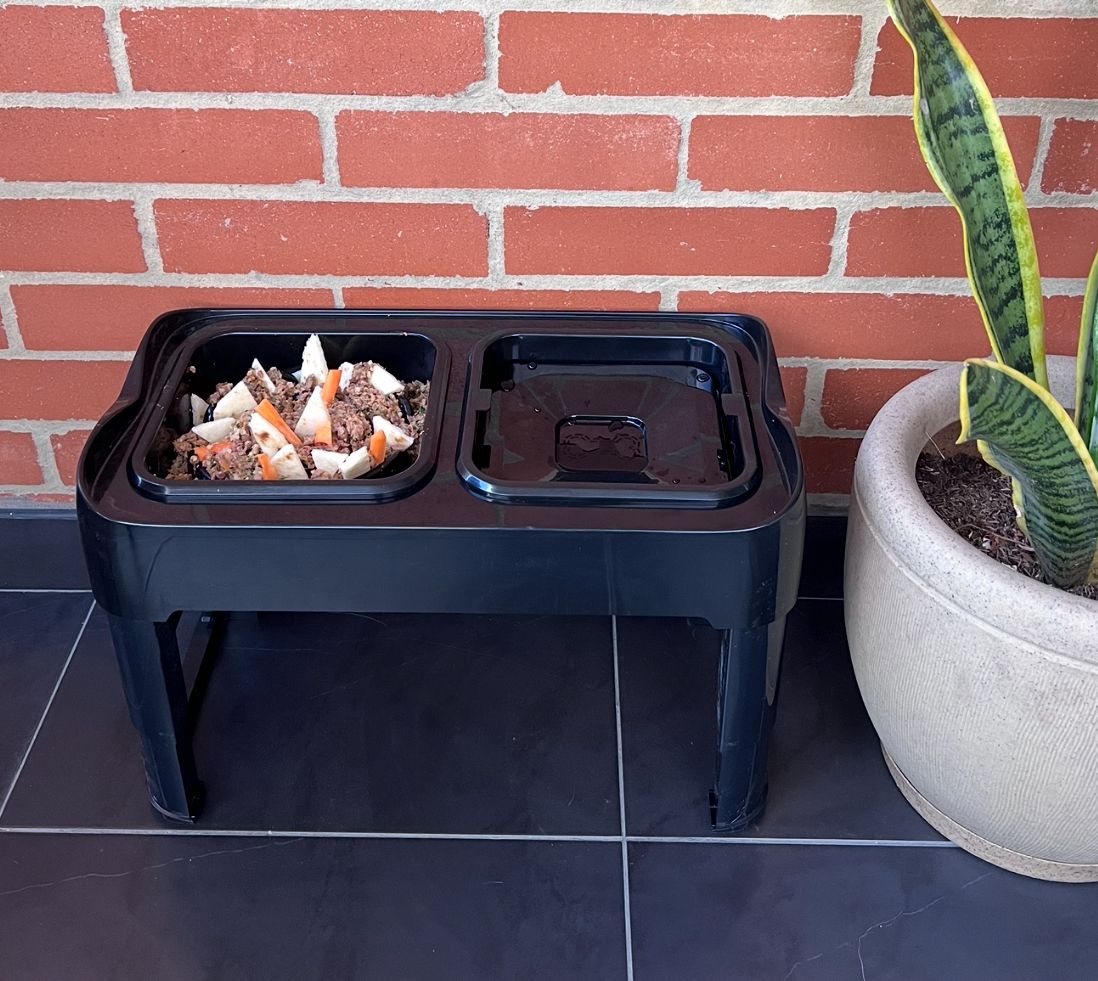 Comedero elevado doble con alturas ajustables para perros PQL001
