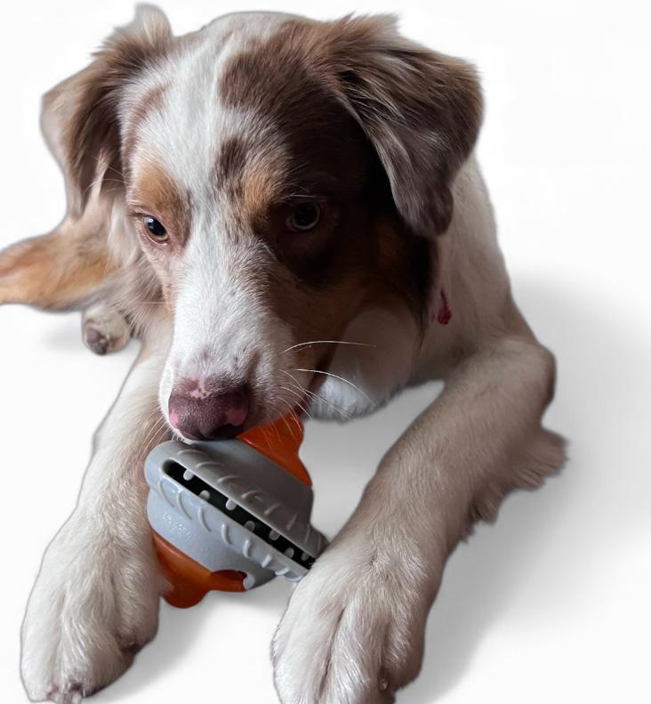 Juguete dispensador de comida para perros