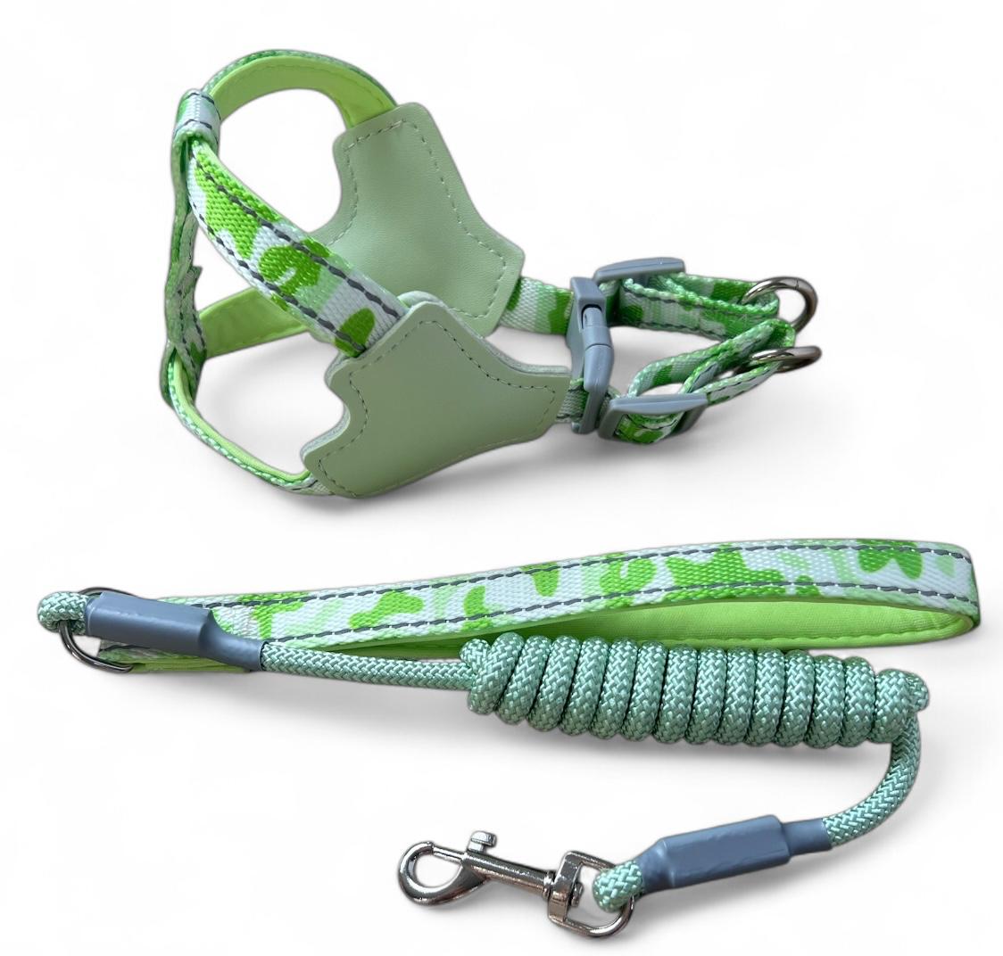 Arnés y correa para perros razas mini