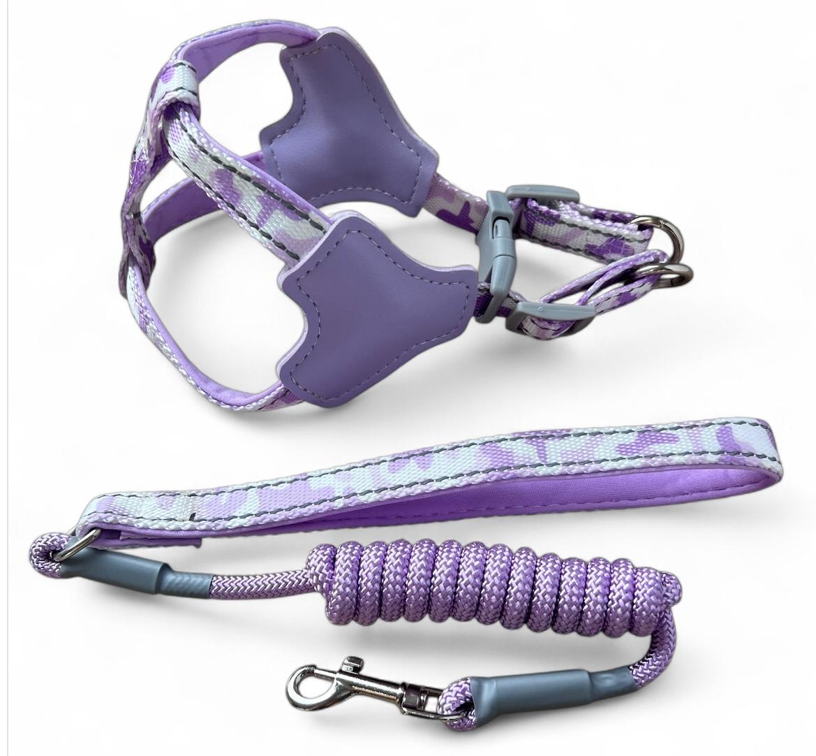 Arnés y correa para perros razas mini