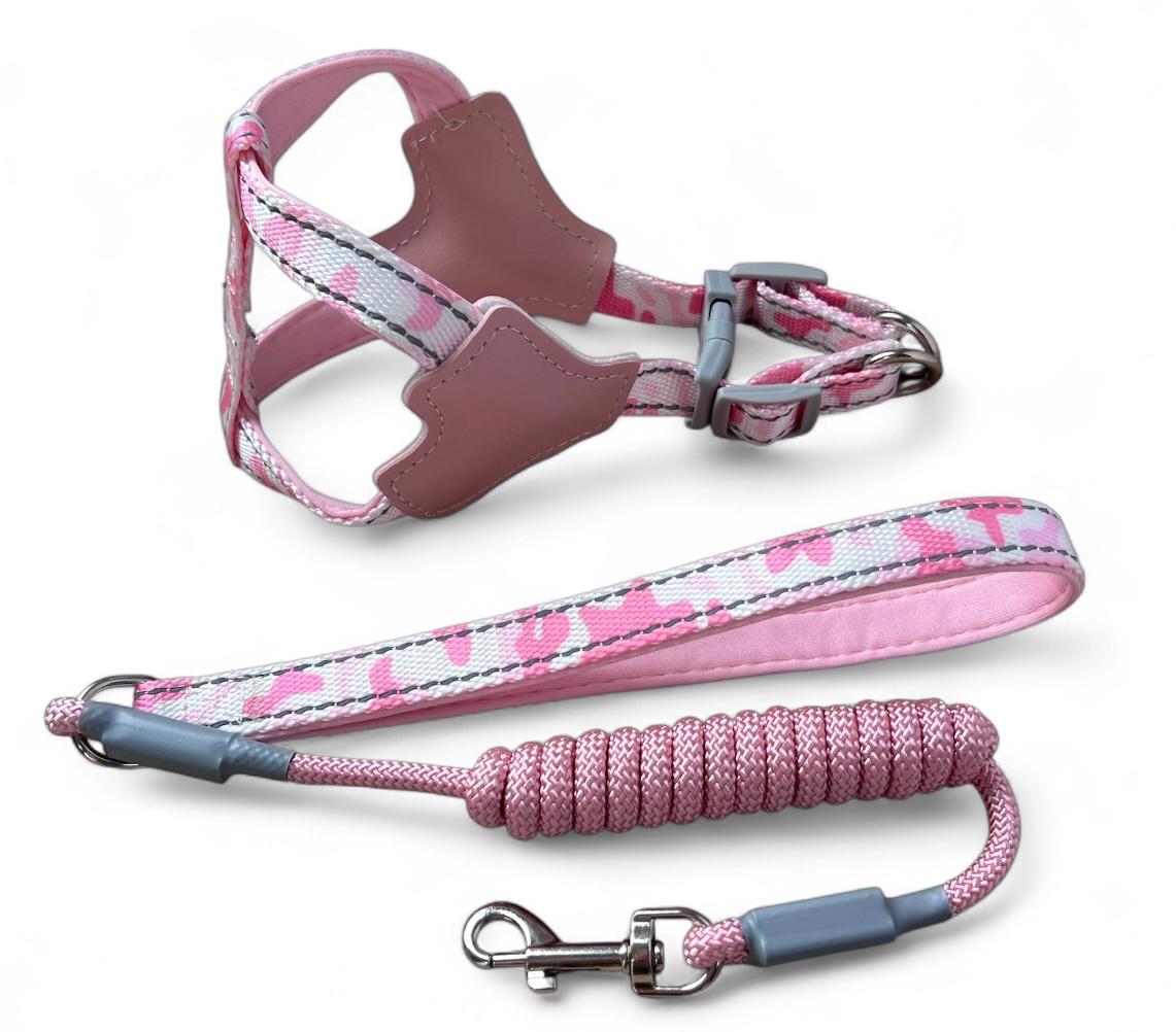 Arnés y correa para perros razas mini