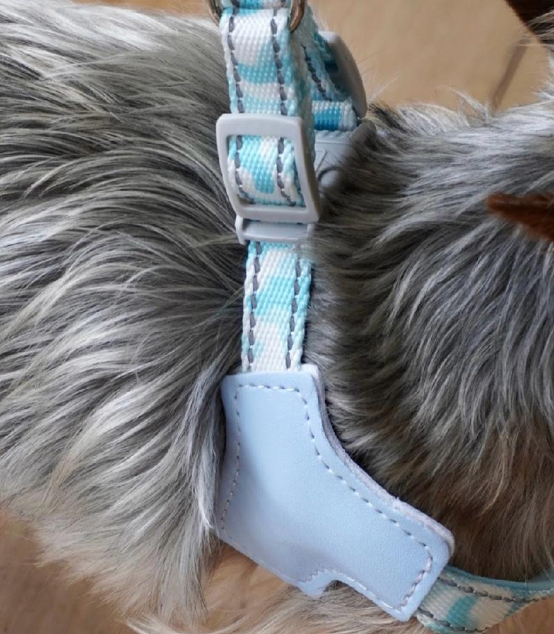 Arnés y correa para perros razas mini