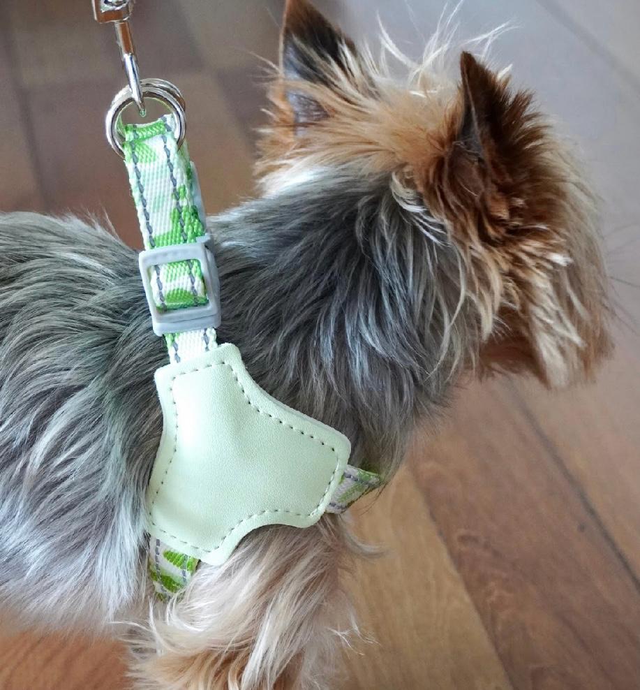 Arnés y correa para perros razas mini