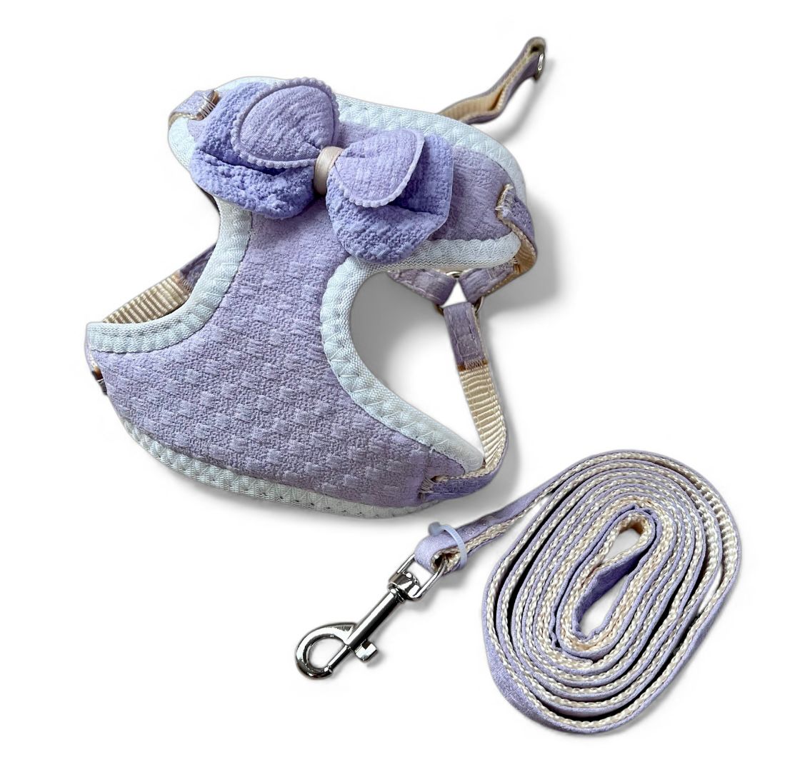 Arnés y correa con aplique en moño para perros razas mini y gatos