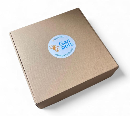 Kit cajita de regalo para perro