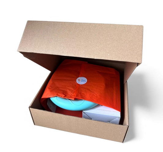 Kit cajita de regalo para perro