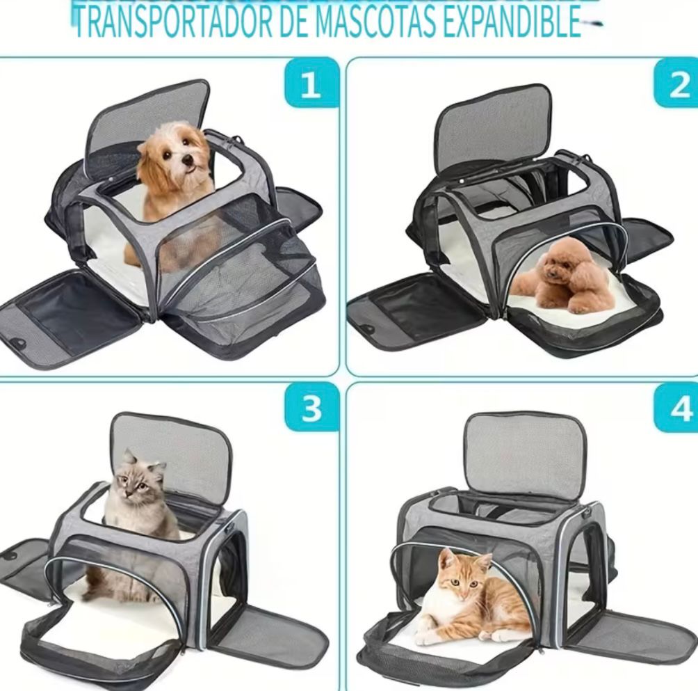 Transportador de mascotas expandible para mascotas
